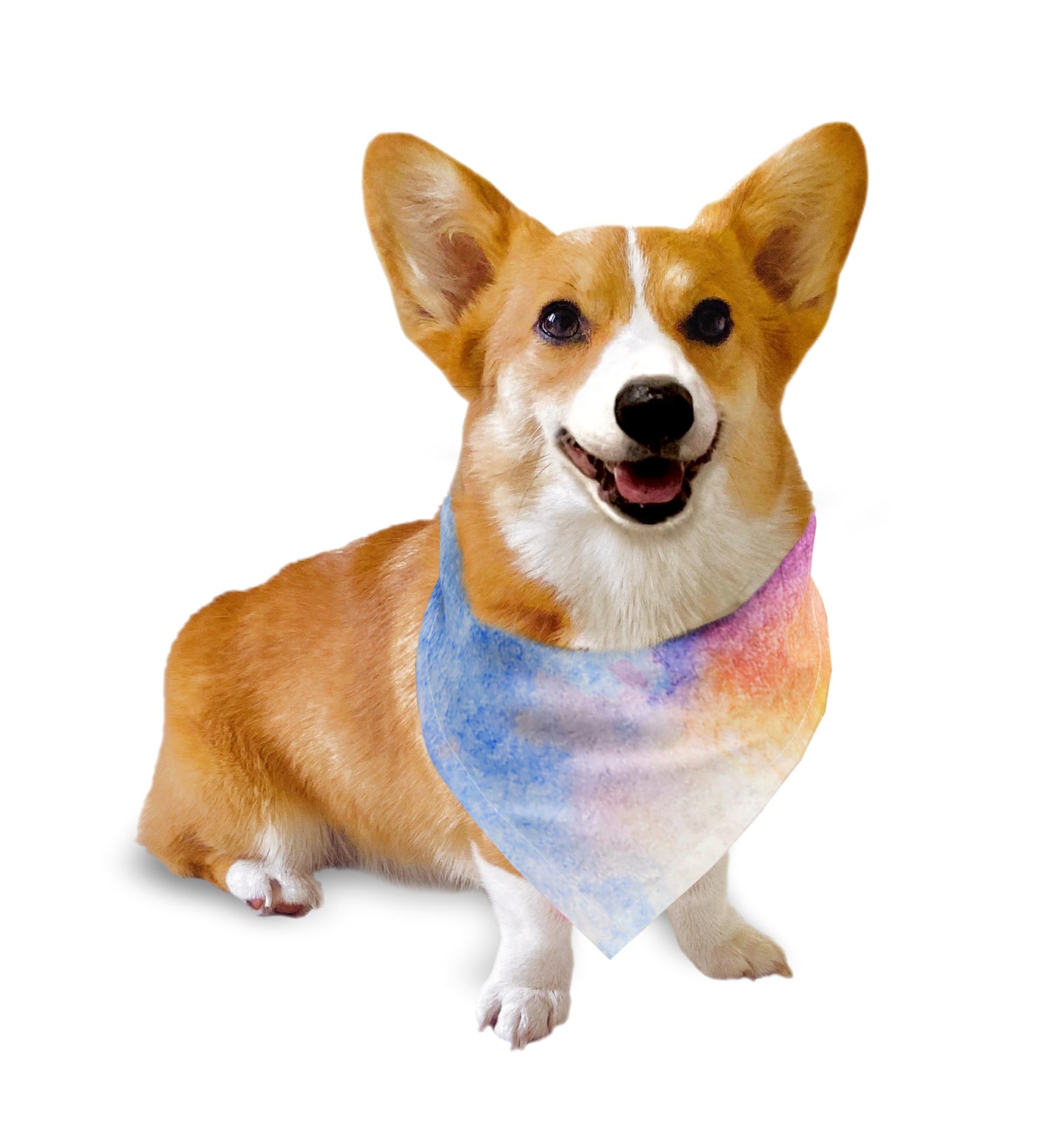 Rainbow Inspired Watercolor Print Bandana