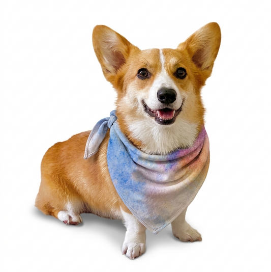 Rainbow Inspired Watercolor Print Bandana