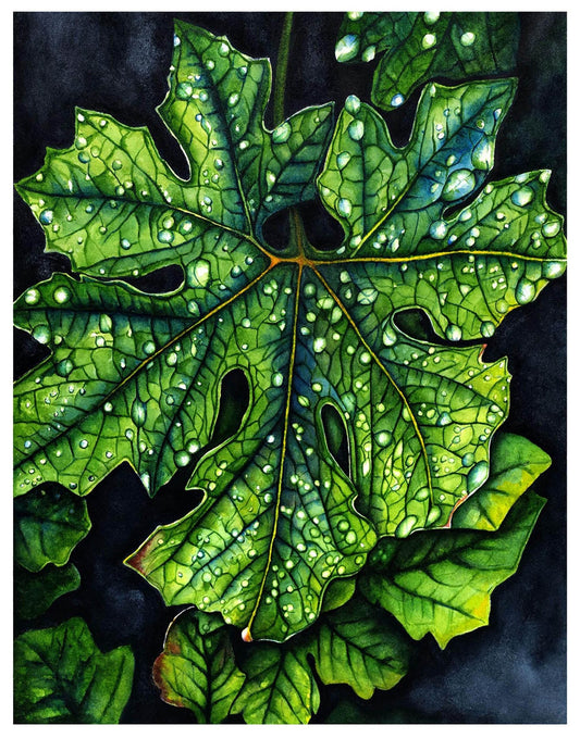 Green Maple Leaf  - Giclée Watercolor Print