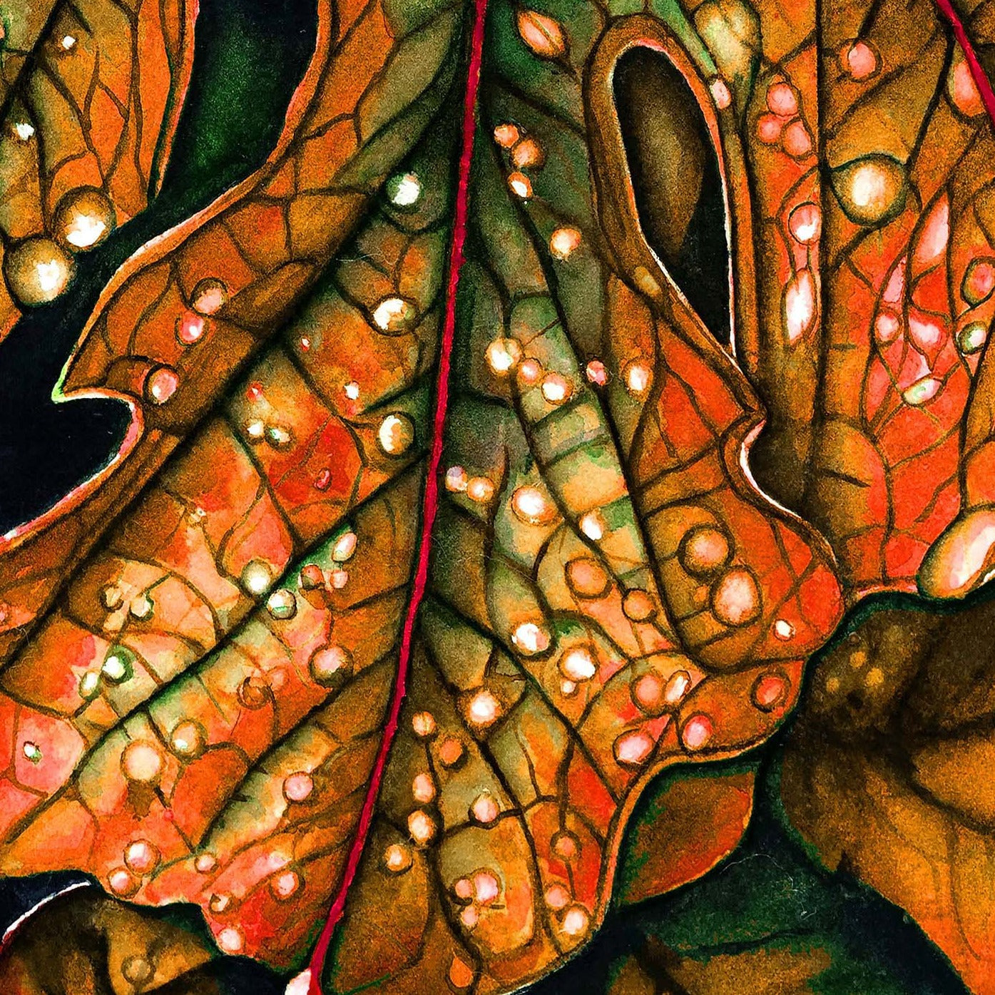 Orange Maple Leaf - Giclée Watercolor Print