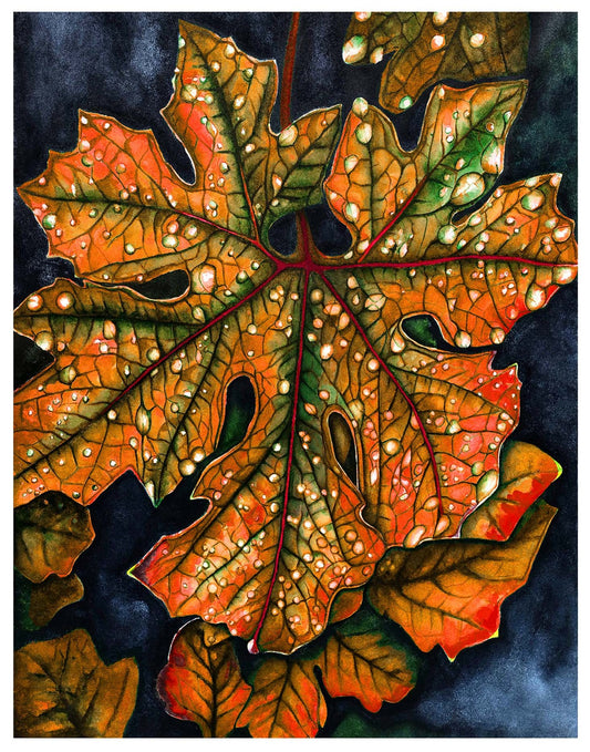 Orange Maple Leaf - Giclée Watercolor Print