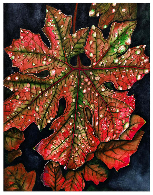Red Maple Leaf - Giclée Watercolor Print